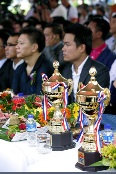 pado-nha-tai-tro-chinh-trien-lam-vietbuild-2014-3.jpg